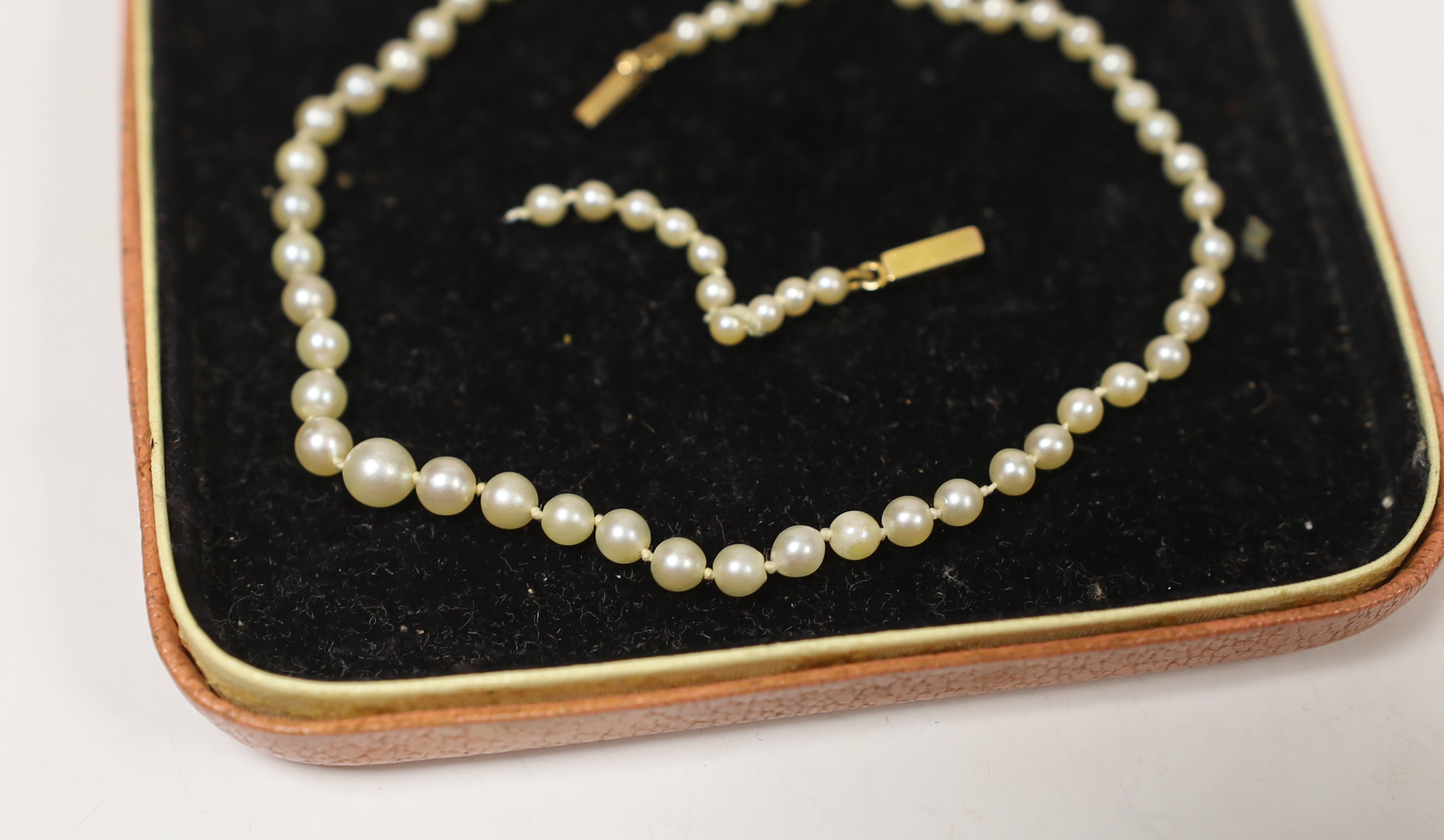 A single strand graduated cultured pearl necklace, with yellow metal clasp (a.f.), 31cm.